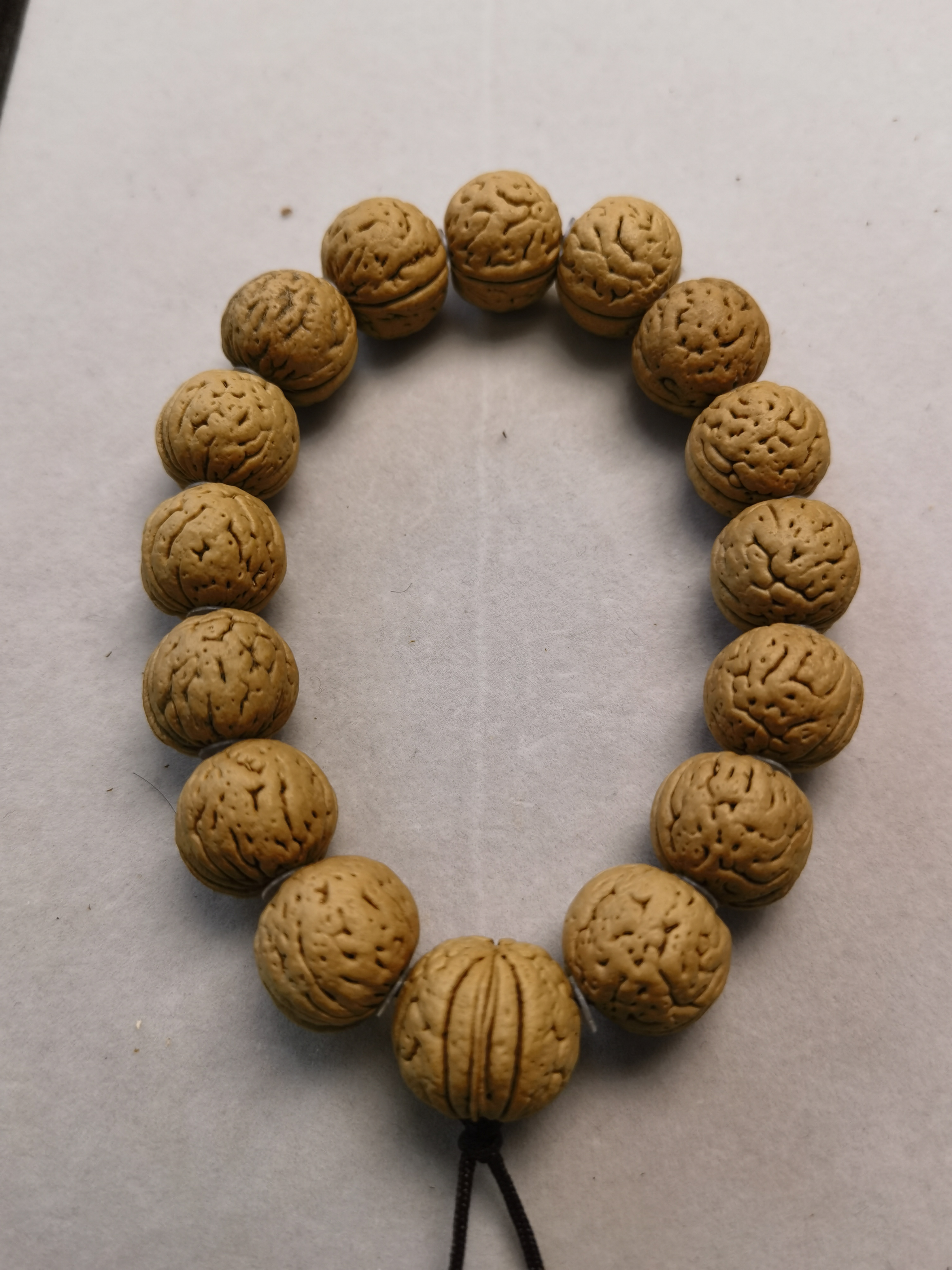 盘锦奶油皮肌肉边肚18高15