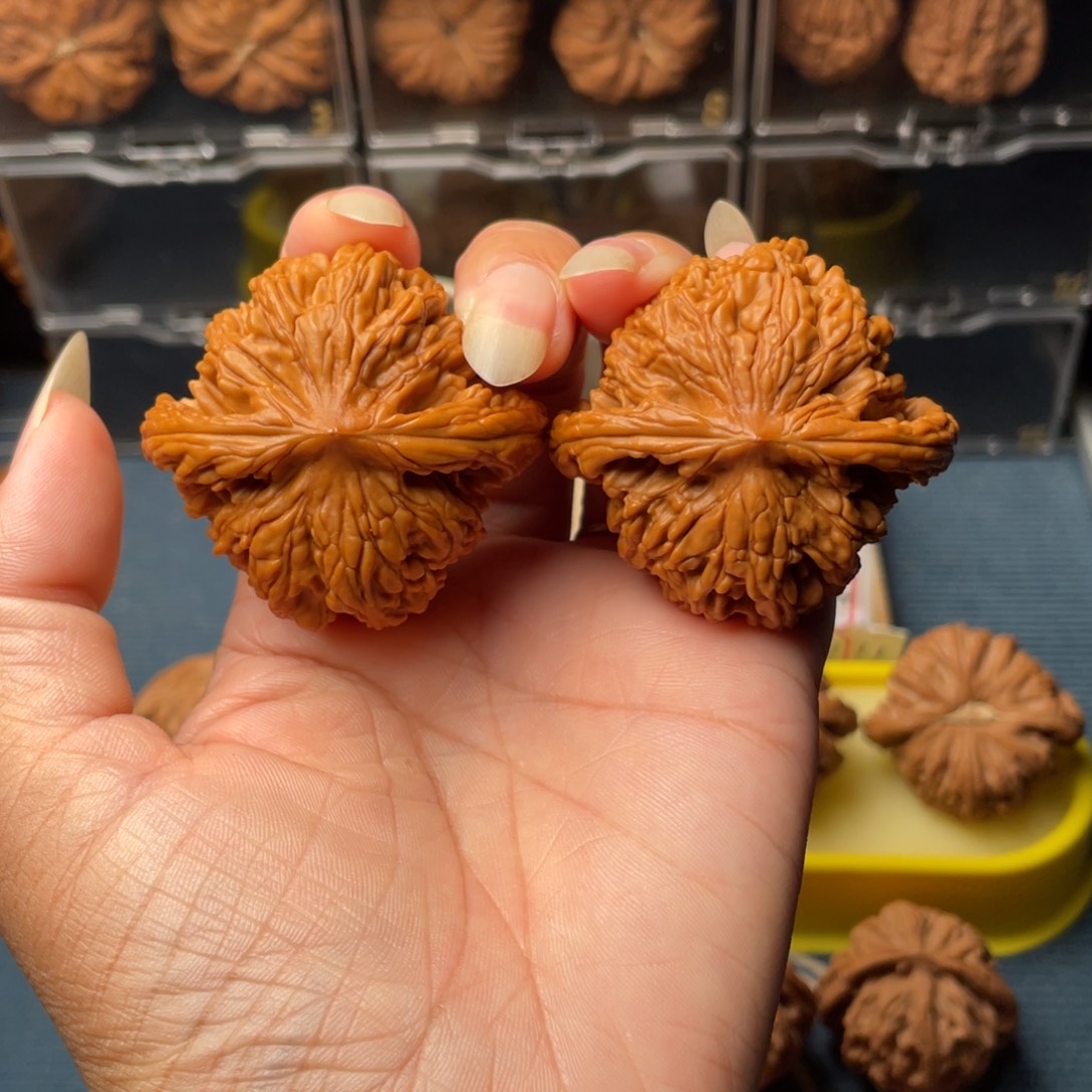 文玩核桃把件48狮虎兽