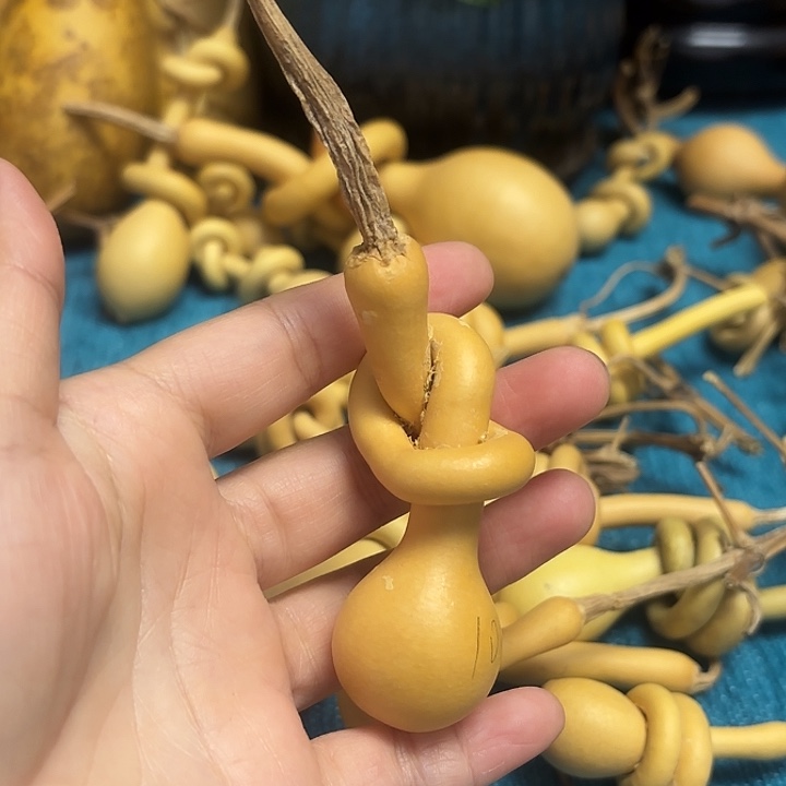 泉***叮一把葫芦便宜漏了