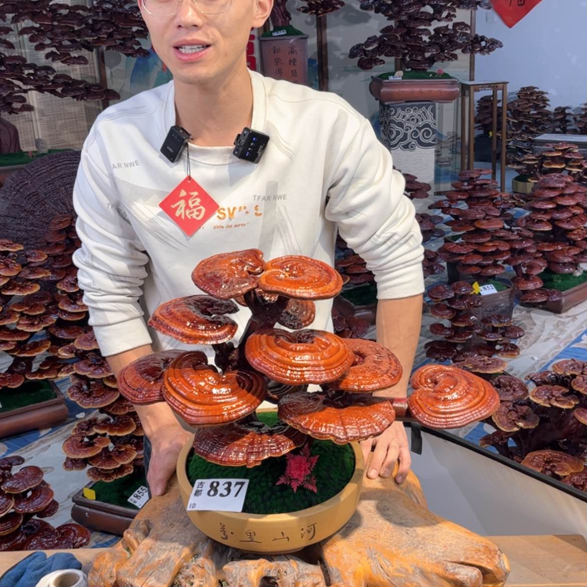 【闪购商品】888885