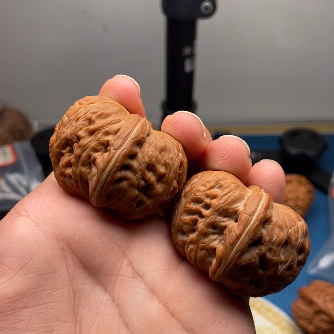 核桃43全品元宝精品