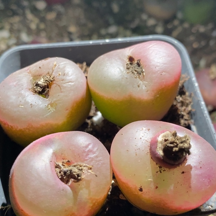 6152一组一组一组