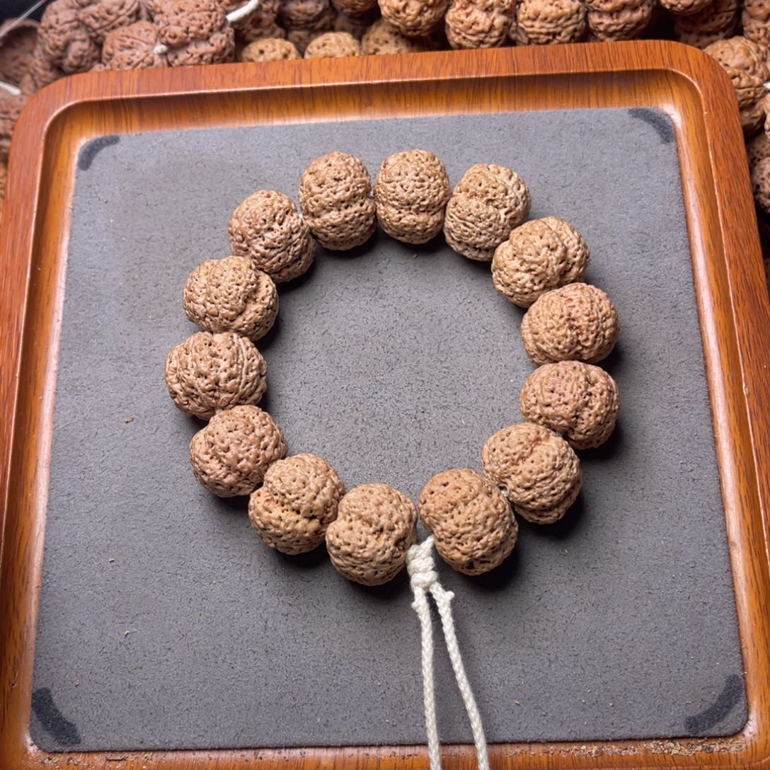 菩提籽类26号金刚菩提菠萝蜜22+