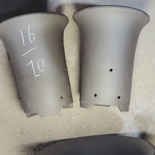 红陶紫砂紫砂这种