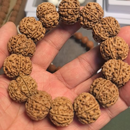 金刚菩提手串六瓣大金刚手串，22左右尺寸，原皮原色