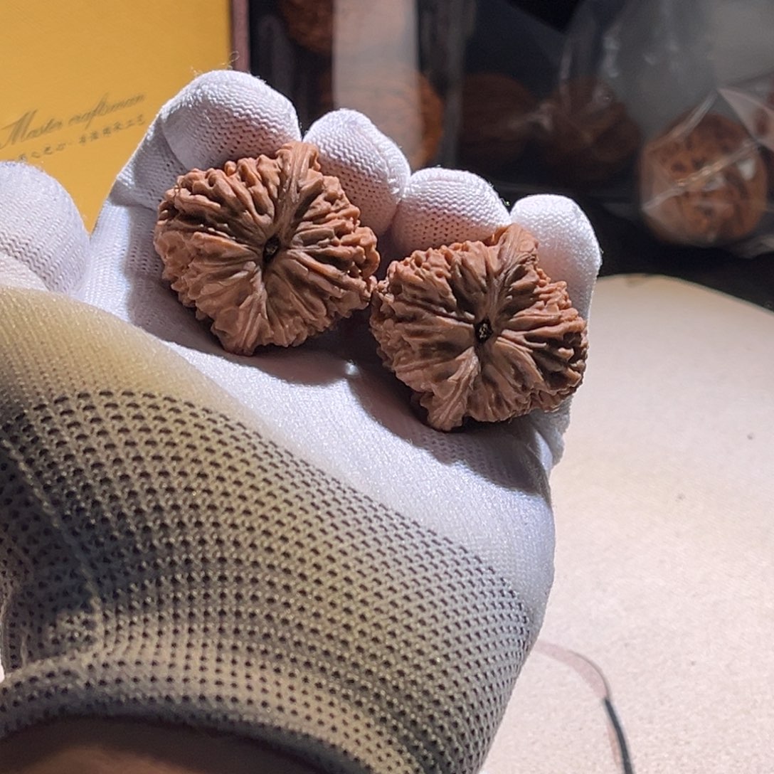 再***旺南疆南疆南疆南疆 搬家 