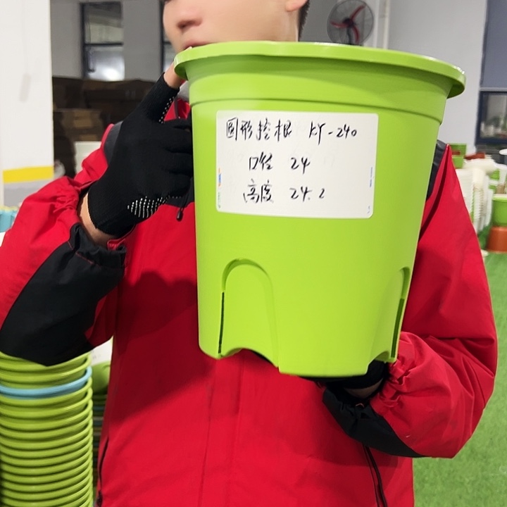 正品圆控口24高24果绿色8只无托