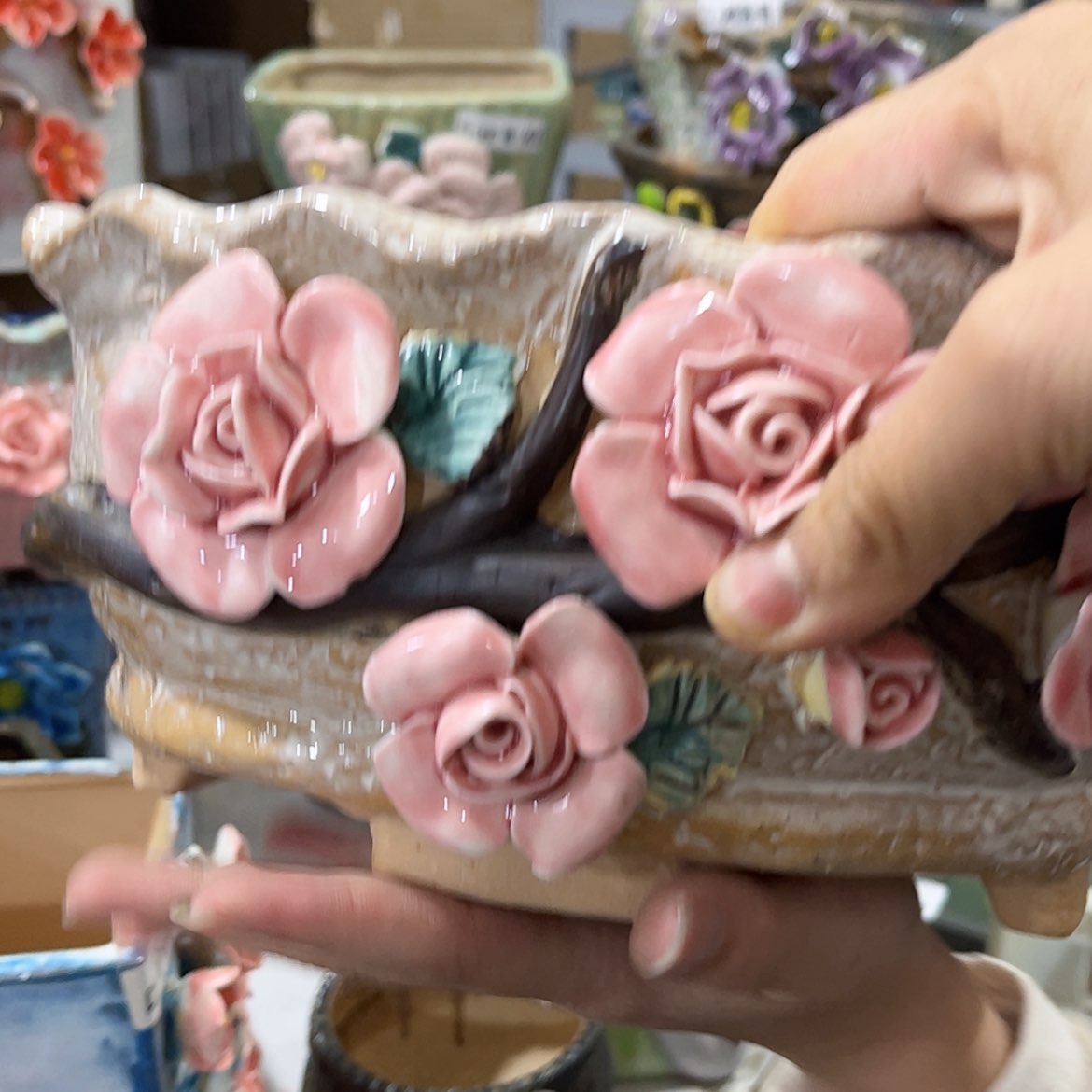 【闪购商品】红陶福利