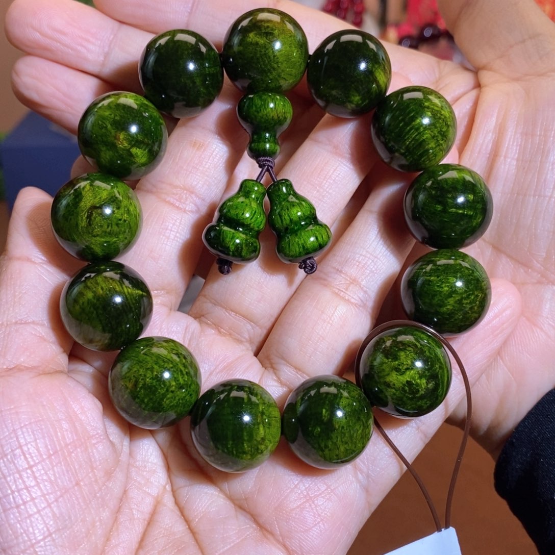 贝壳杉1.8千年绿色天花板