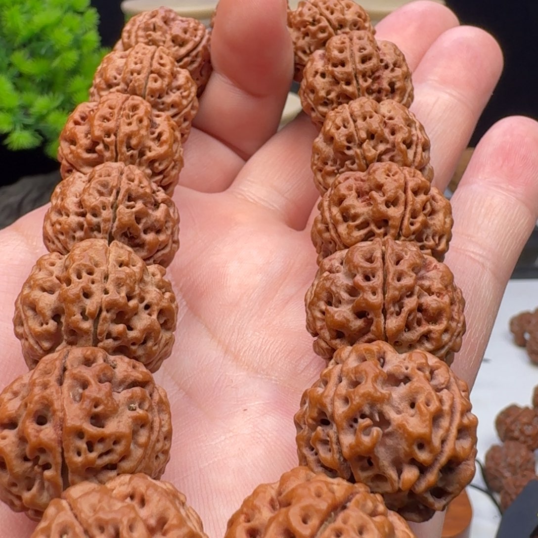 手串金刚菩提梁粗筋双龙