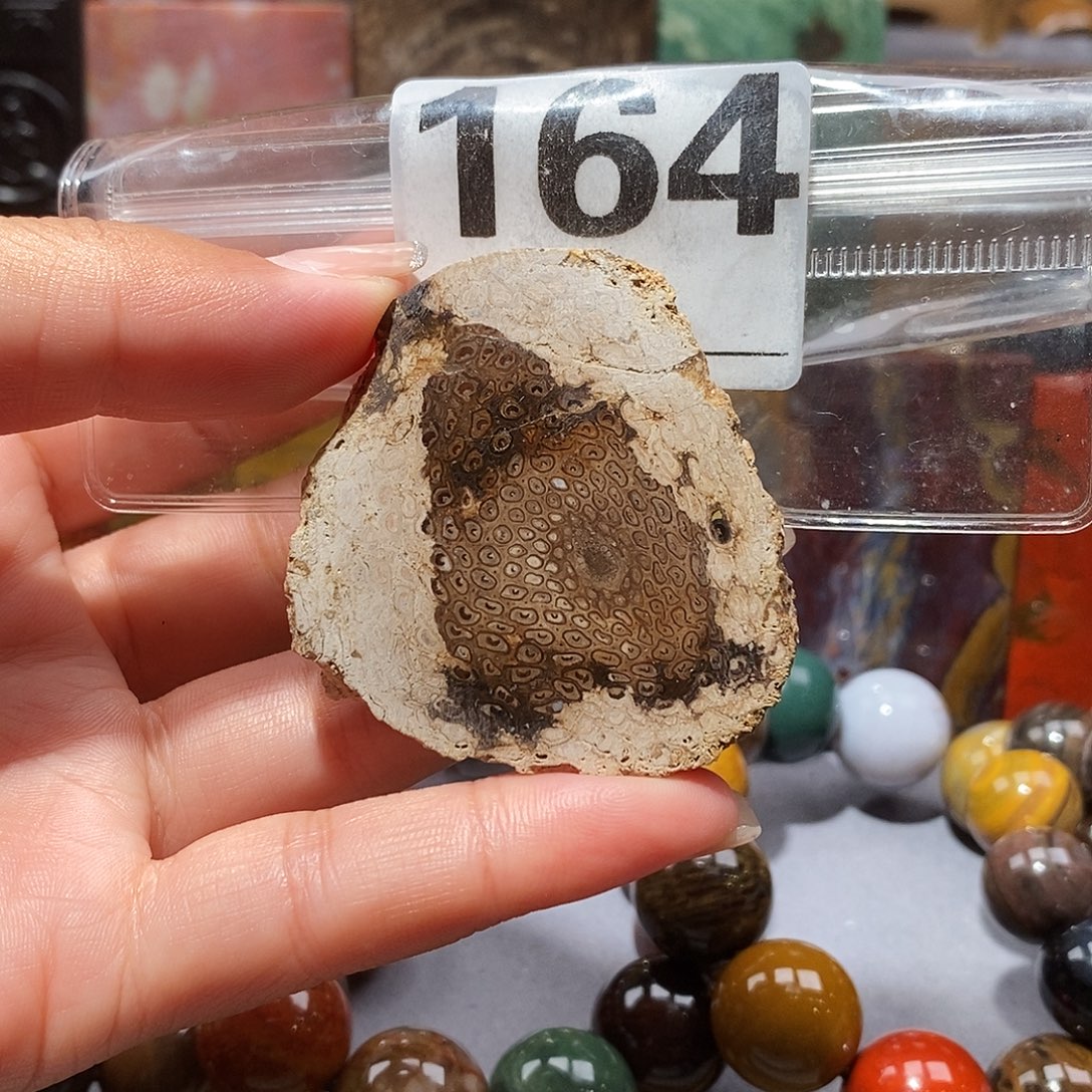 未镶嵌天然北票硅化玉吊坠硅化玉