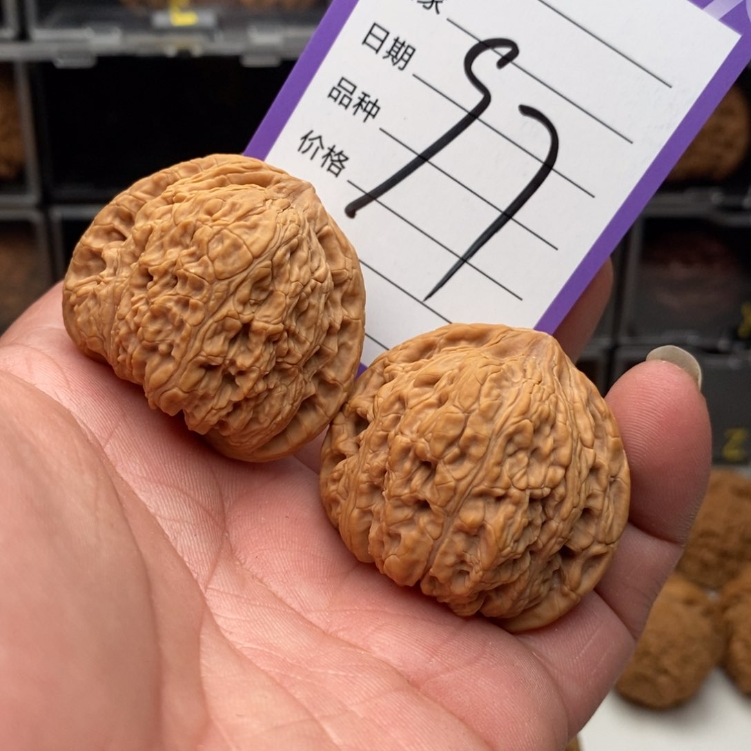 41泥鳅背狮子头全品