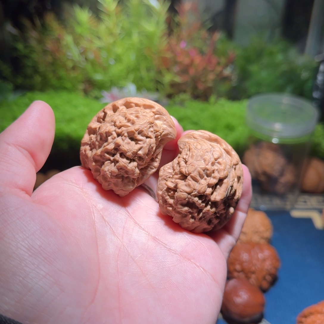 量39官帽座山雕文玩核桃