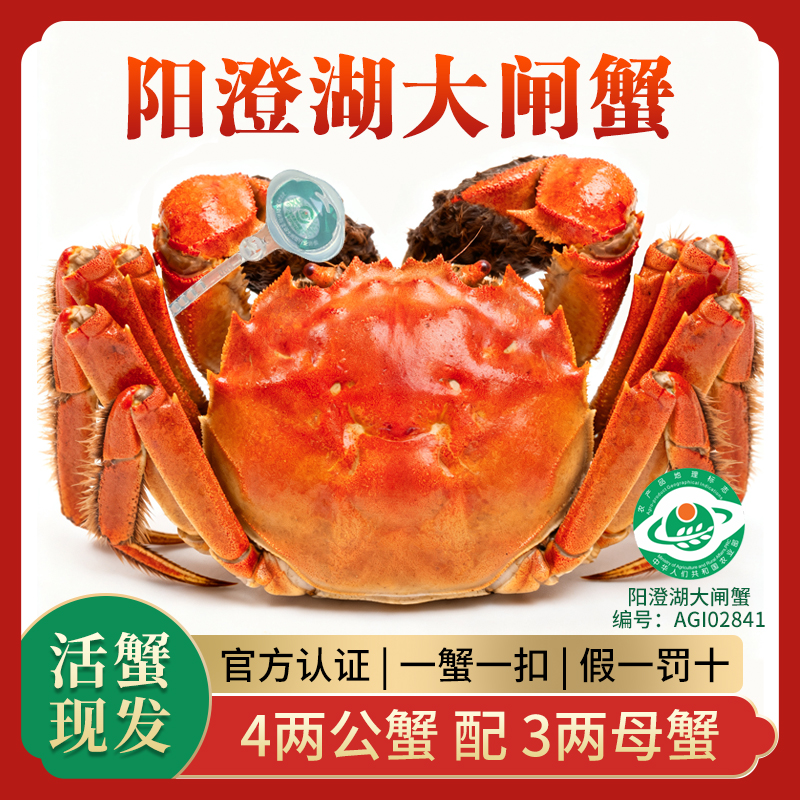 阳澄湖大闸蟹【活蟹】精品4.0两公+3.0两母6/8/10只顺丰高标准塘养