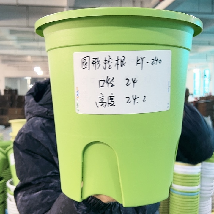 正品圆控口24高24果绿无托5只