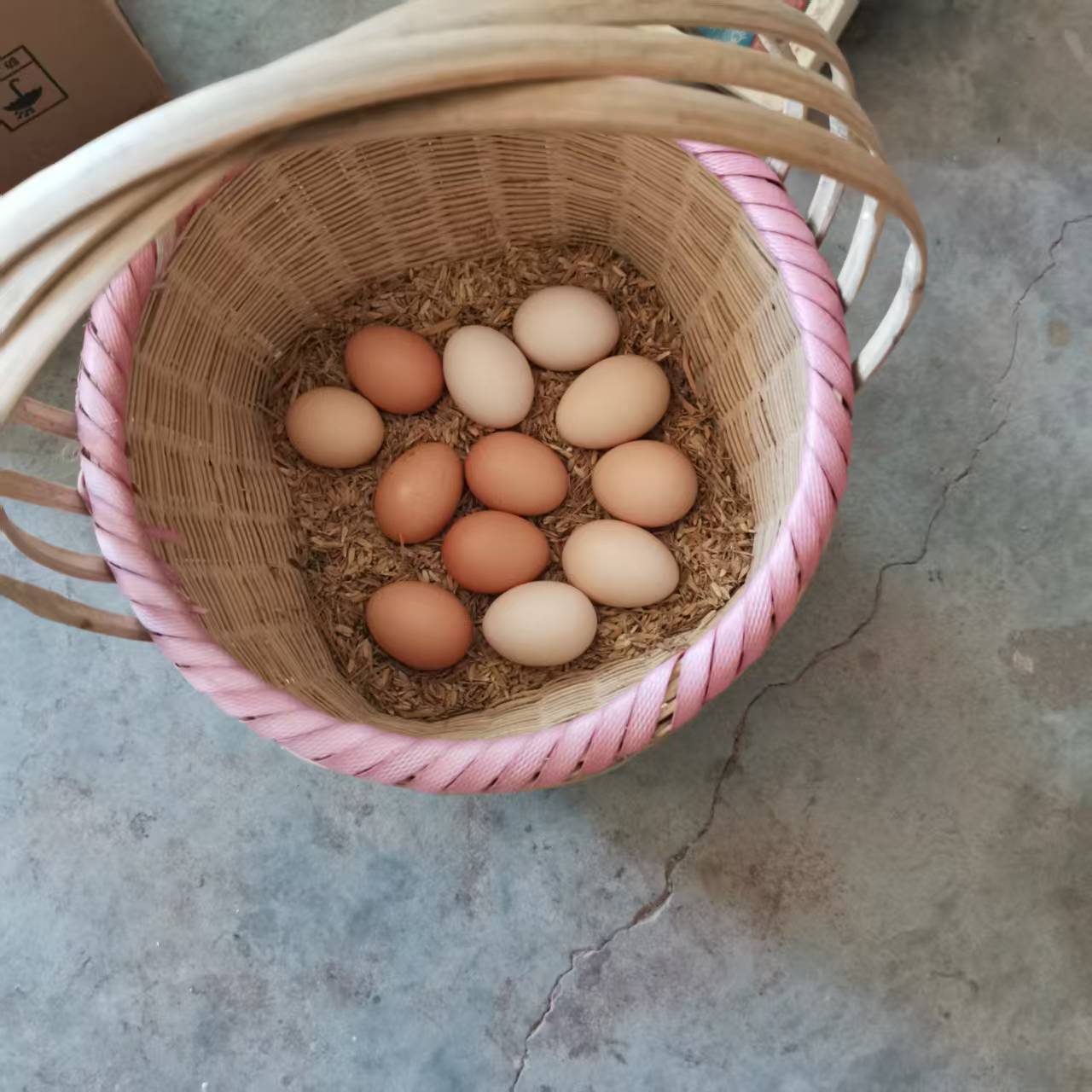 重庆农家土鸡蛋散养粮食鸡鸡蛋孕妈宝宝蛋现捡新鲜土鸡蛋