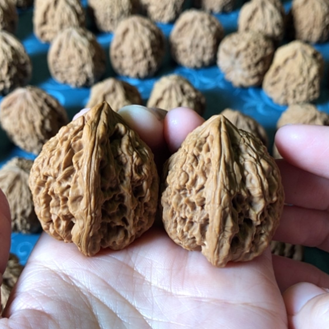 【闪购商品】文玩核桃把件啊*树一代将