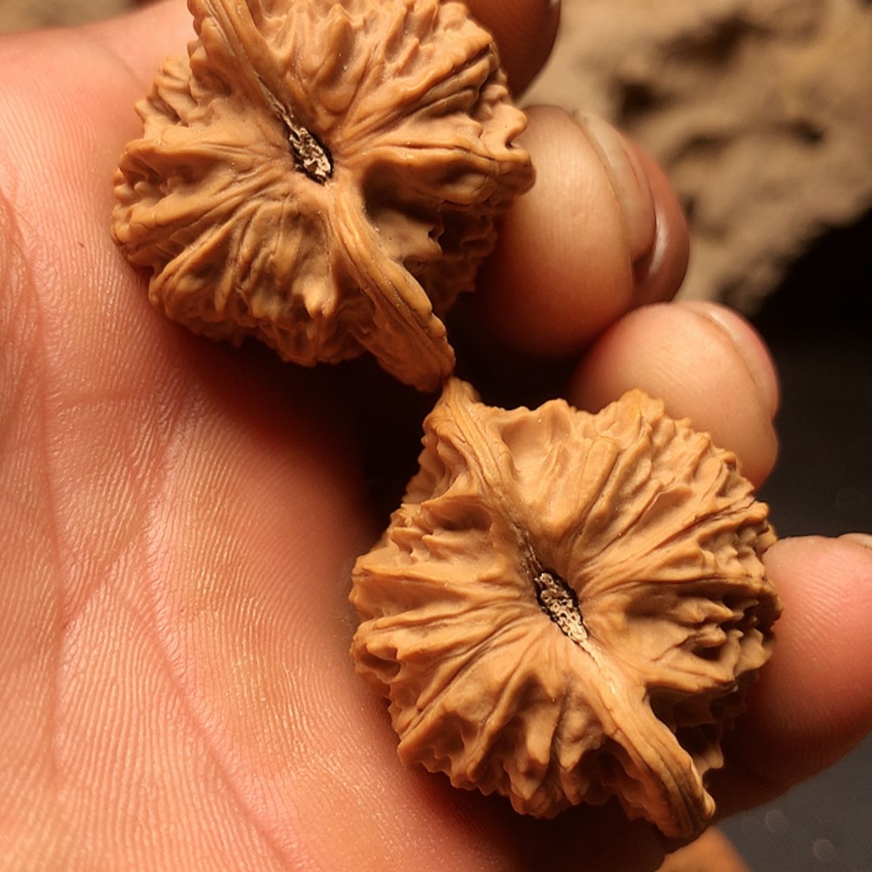 【闪购商品】把件文玩核桃布*德