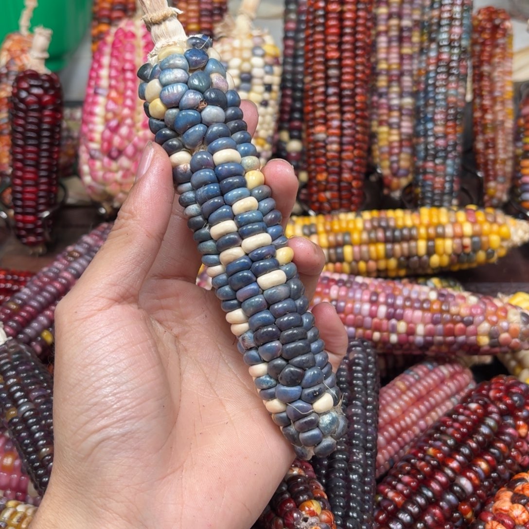 巫***哥吊坠柏香籽/百香籽