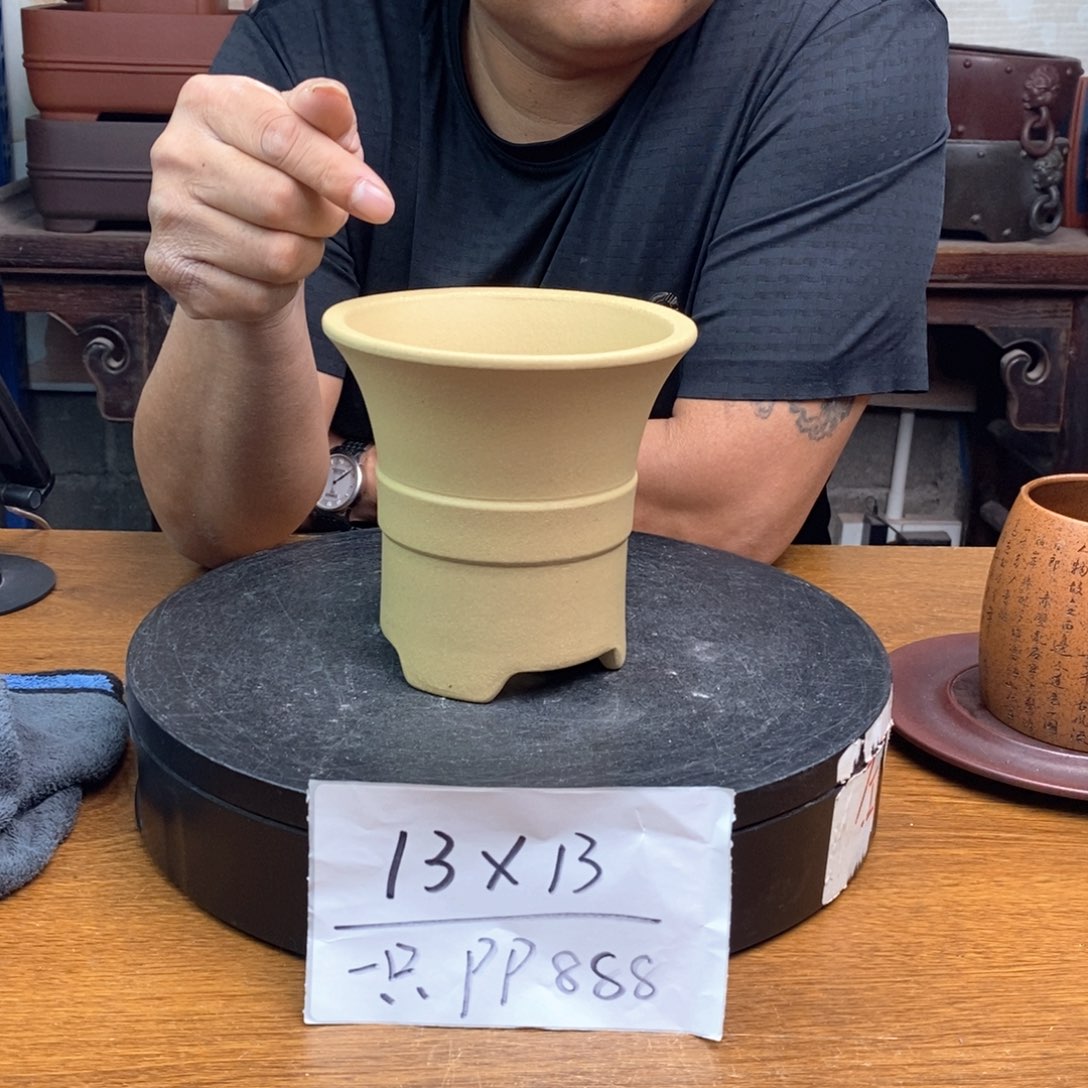 紫砂货号一只PP888