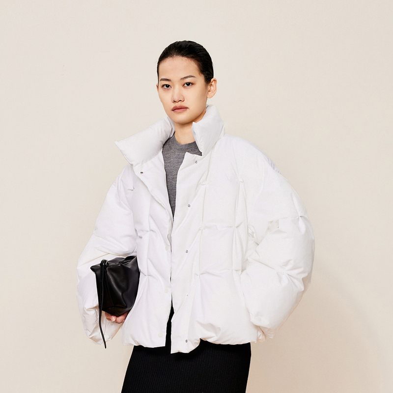 LESS设计感短款羽绒服女白色块面格拒水立领白鸭绒上衣2OAC12600