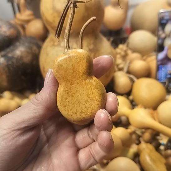 ****儿直播间专供链接葫芦链接