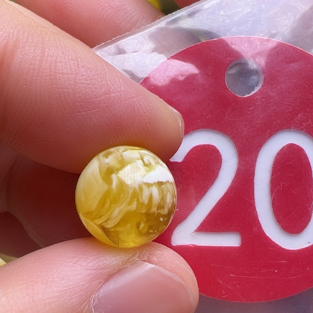 蜜蜡未镶嵌珠宝奇石11m m微瑕