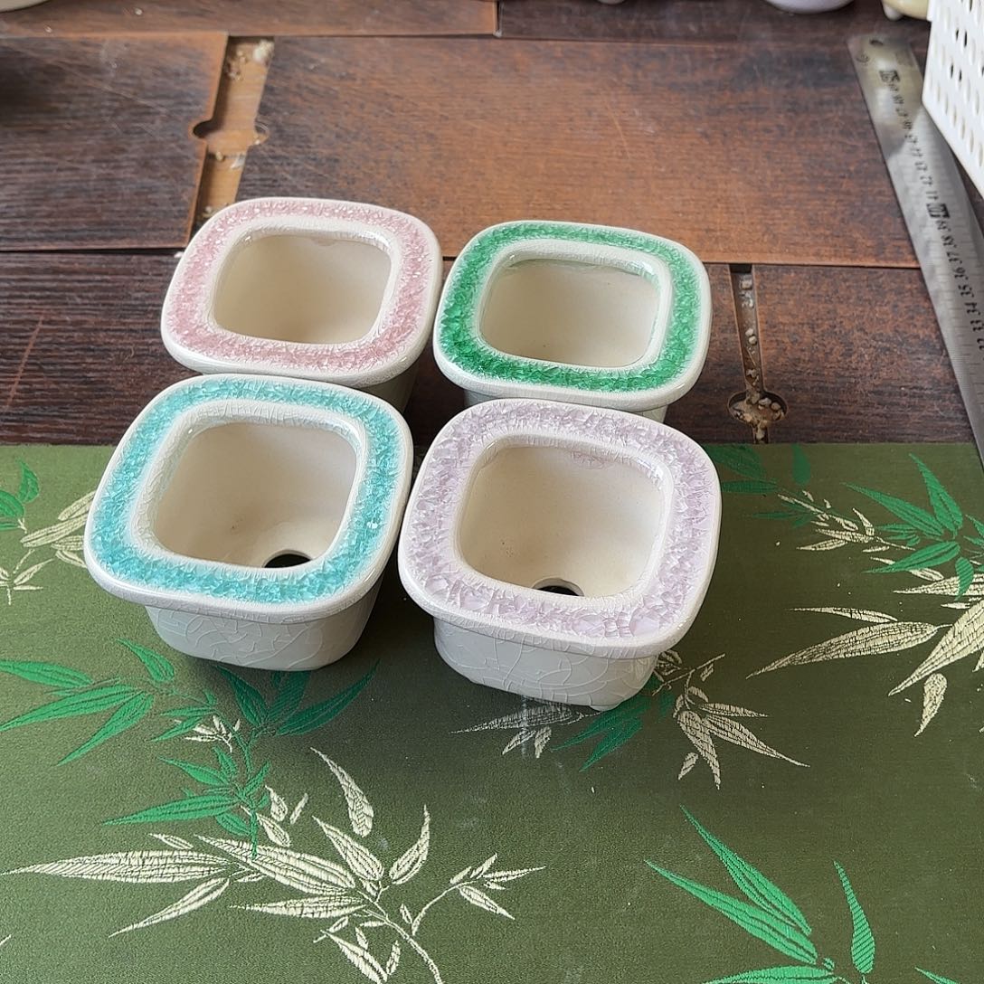 量货/5.5口高5.5深浅搭配发4