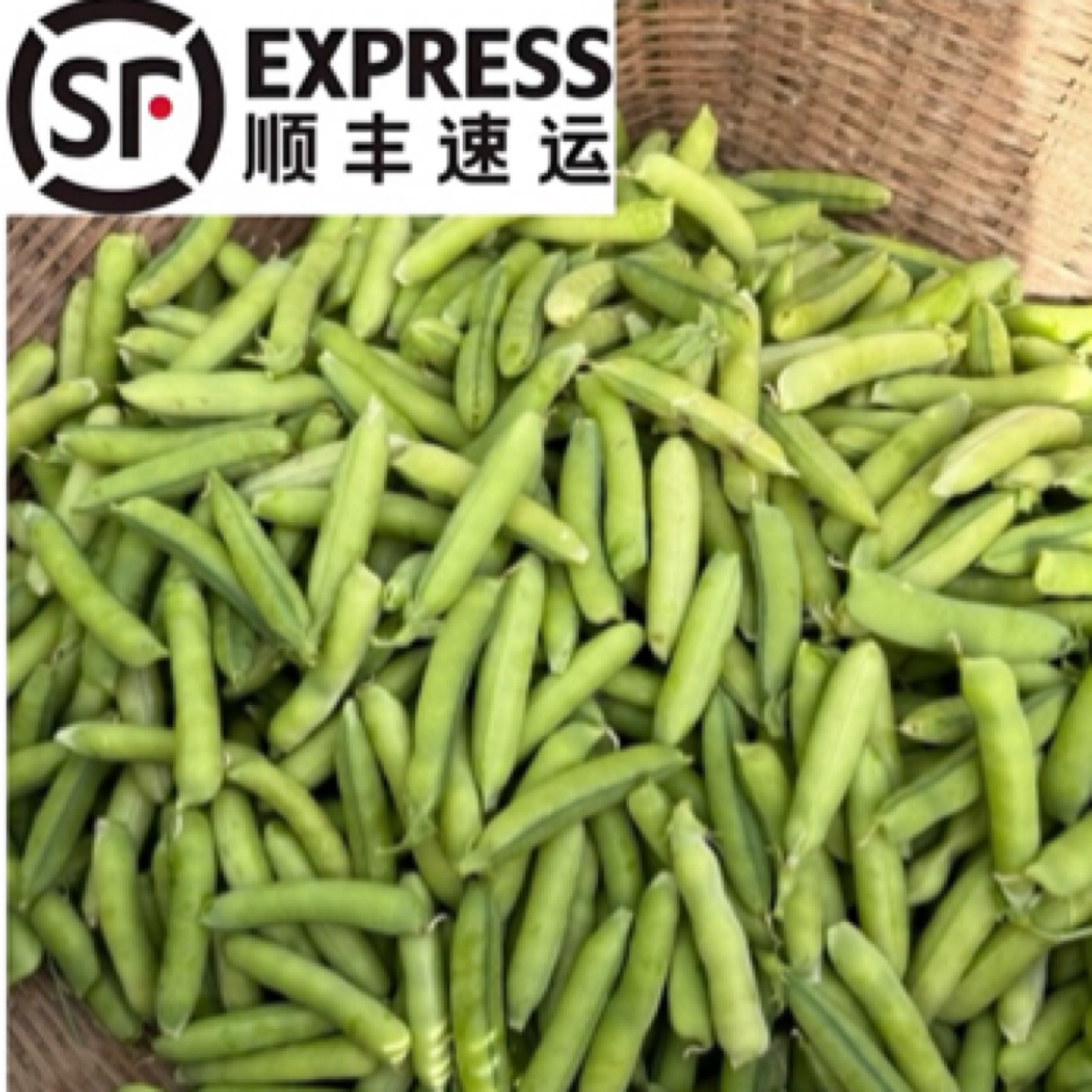 【老豌豆】新鲜现摘农家露天种植甜脆饱满应季食用