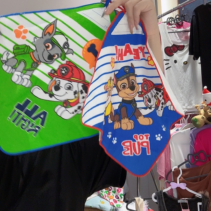 一组两个汪汪队擦手巾