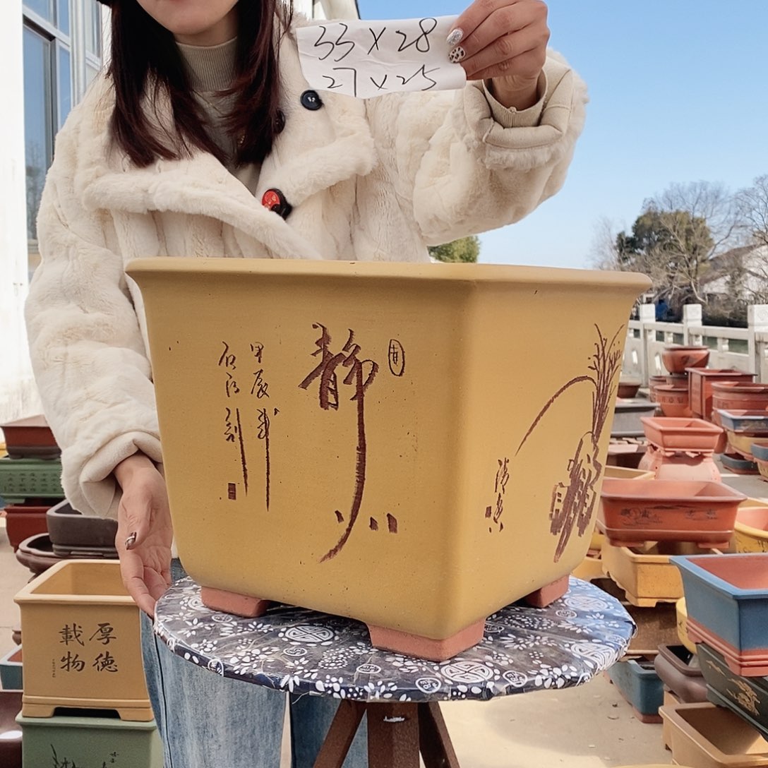 紫砂花盆紫砂花盆