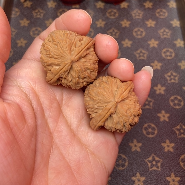 核桃文玩核桃白狮子