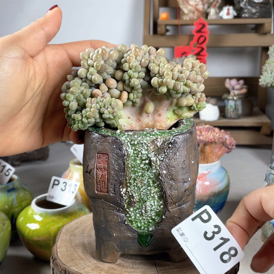 紫砂花盆银河落 中号 内口5.5 不含肉