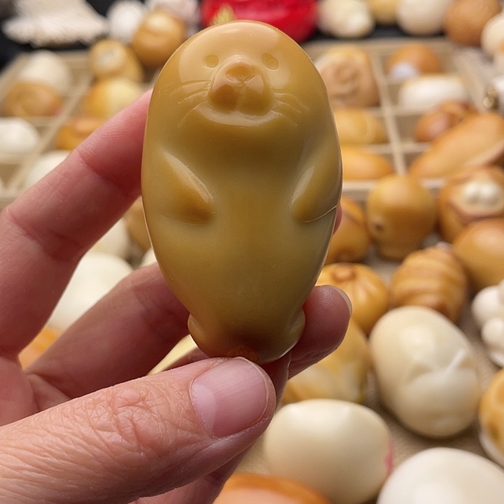 吊坠菩提根/象牙果海豹有白点黑点