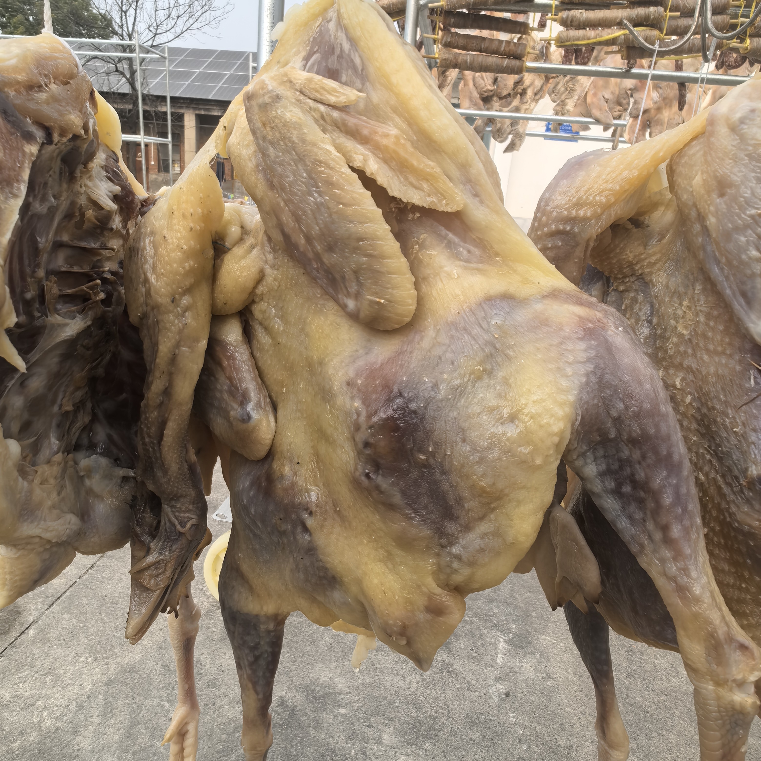 安徽咸鸡自然风干农家腌制咸香味肉质紧实传统腊味特产