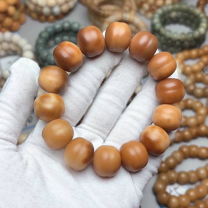 菩提根/象牙果手串