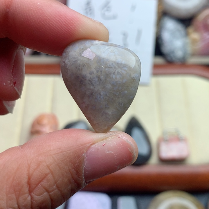 硅化珊瑚（珊瑚玉）颈饰未镶嵌