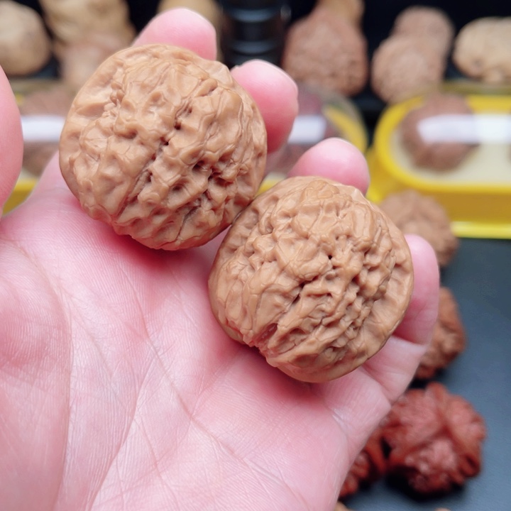 文玩核桃把件甲骨文狮子37×40×36