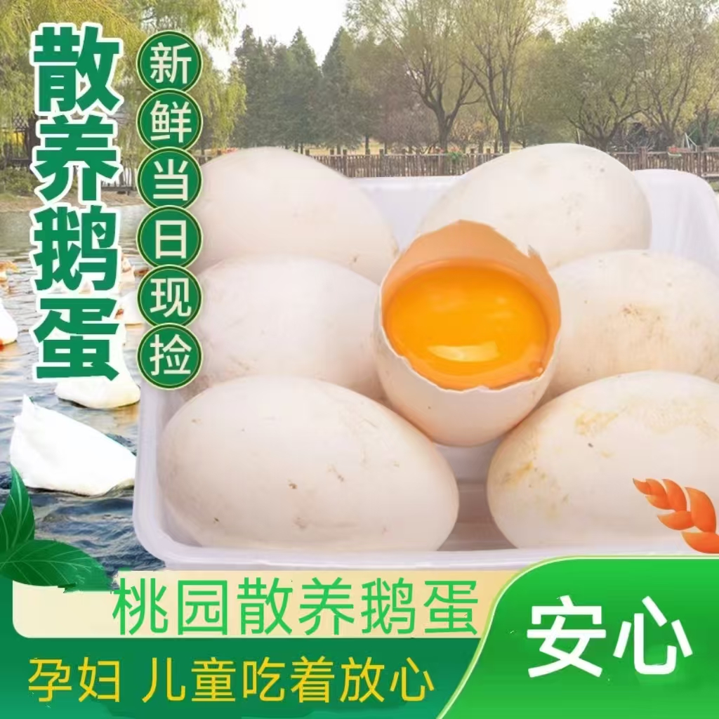 百亩桃园散养土鹅蛋160克-180克每天现捡现发新鲜到家营养高