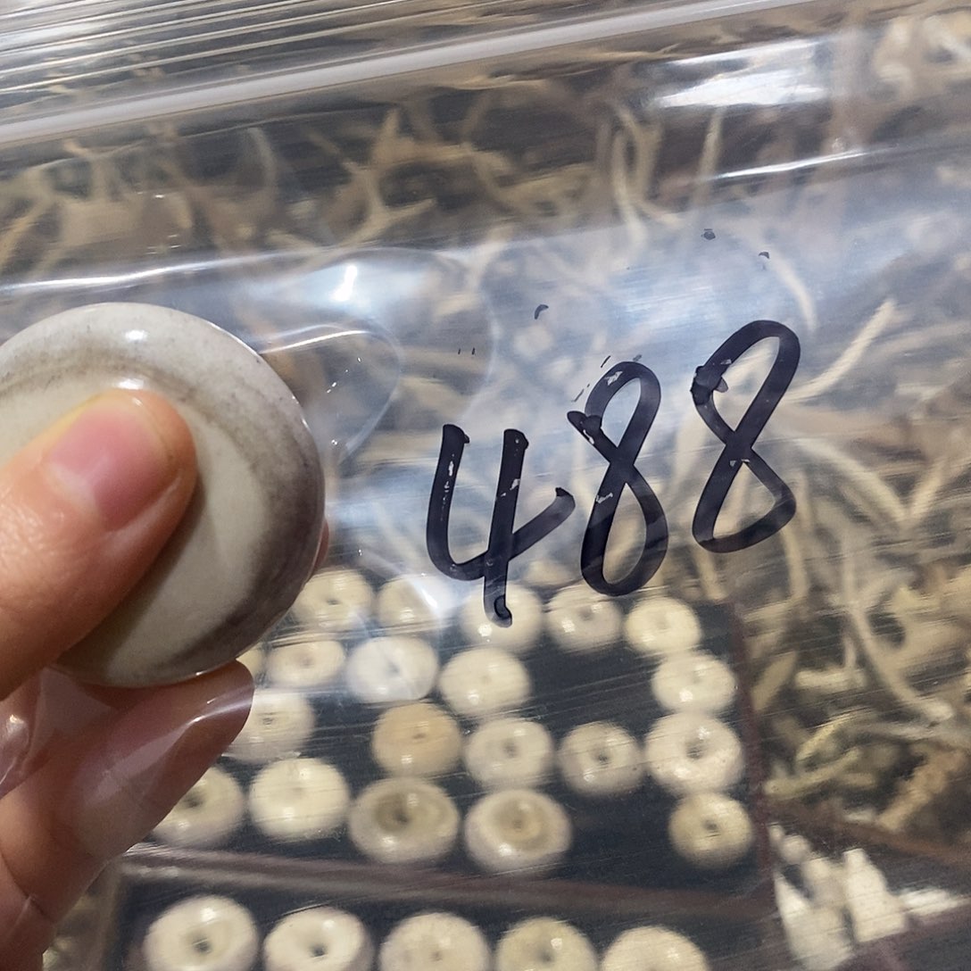 向***生非金属鹿角鹿角鹿角