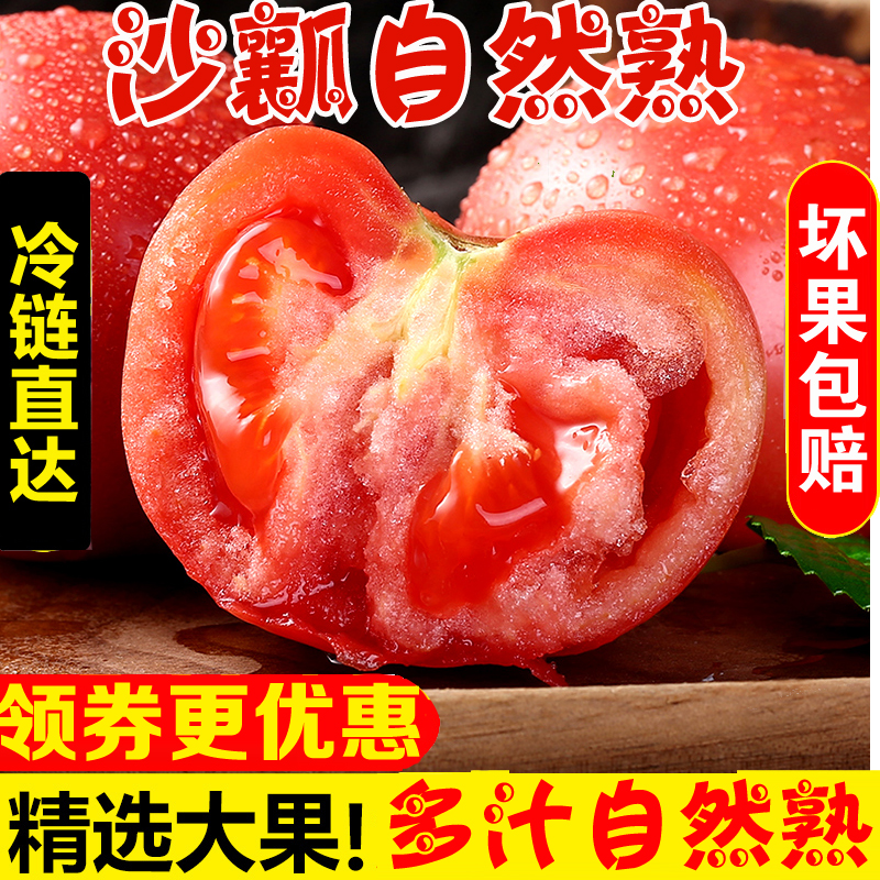 山东沙瓤西红柿新鲜现摘自然熟产地直发保价皮薄酸甜多汁水果番茄
