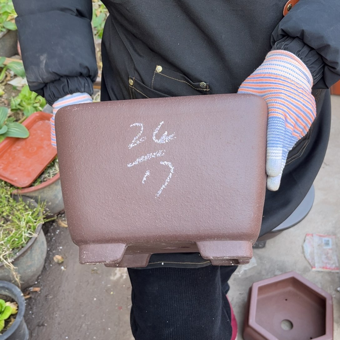 紫砂花盆盆景艺术