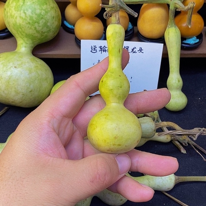 用****4长嘴哈哈哈哈哈哈哈哈哈哈哈哈太