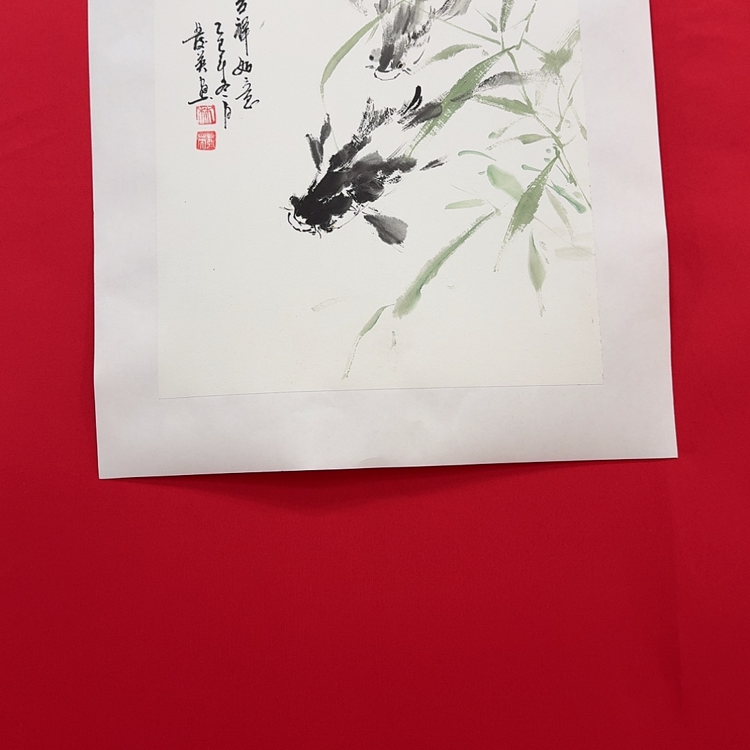 国画新号开播福利多多