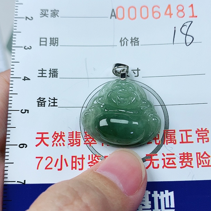 翡翠颈饰银S925镶嵌翡翠