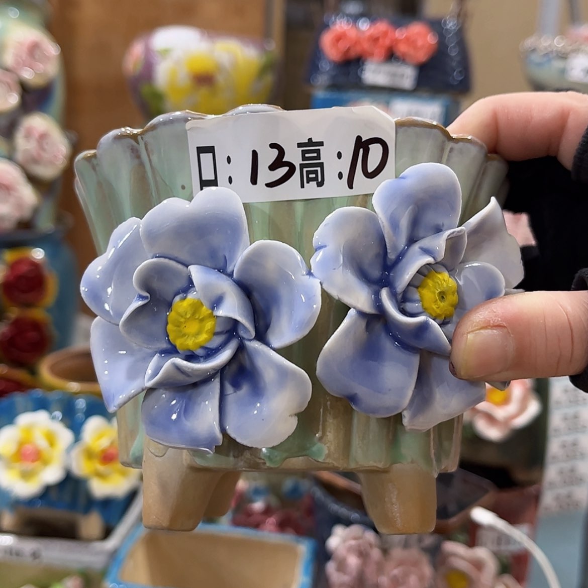 【闪购商品】红陶福利