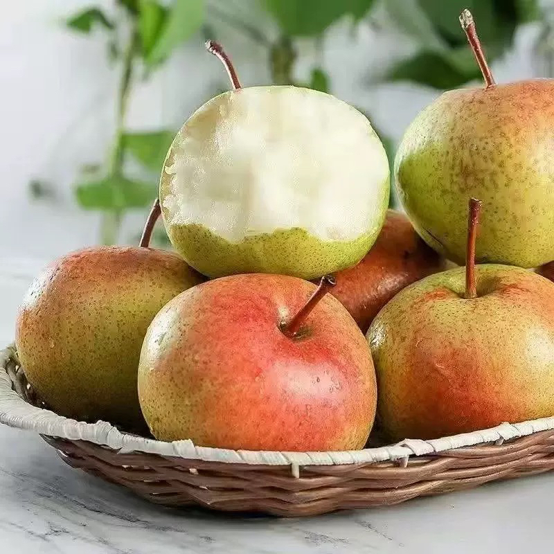 东北新鲜苹果梨 水果甜脆 汁水饱满 包邮
