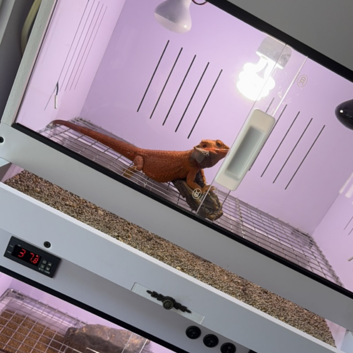 80抽屉 不锈钢网 钢化玻璃 PVC爬箱 造景保温箱80*40*45