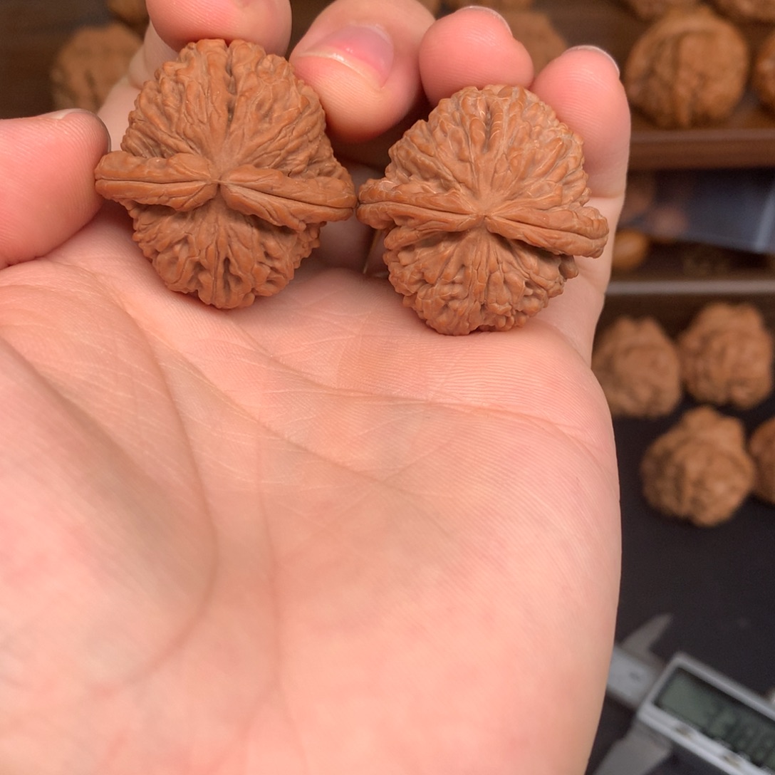 不***欢吊坠文玩核桃34白狮子