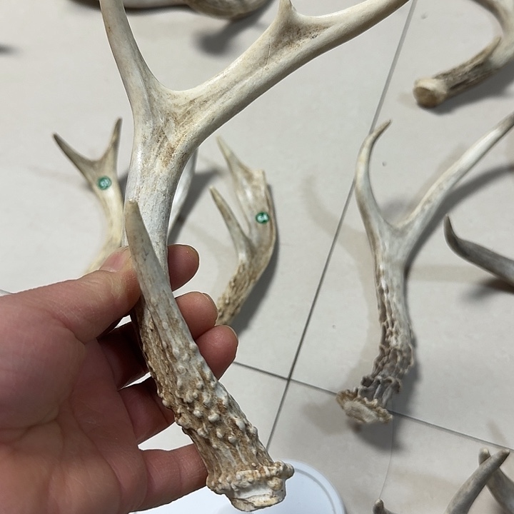 香榧木工艺品鹿角原料手把件